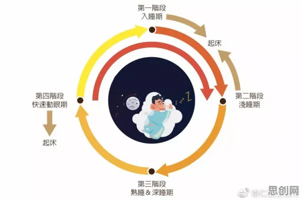面对睡眠障碍人群激增，生态学告诉我们对未来的预测