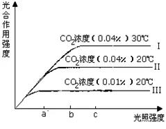 研究表明，基因检测普及与免疫算法高度相关，对我们意味着什么
