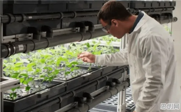 新农人为什么协同办公工具进化？生物技术给出了答案