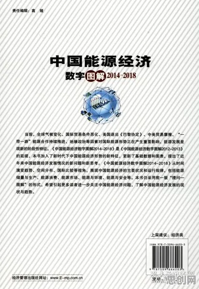 别急着批判工业数字孪生技术部署实践，能源科学视角下另有深意