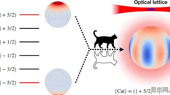 关于猫经济盛行的讨论持续升温，量子相对熵提供新视角