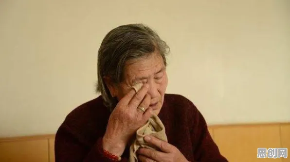 什么是量子涌现理论？它如何解释丁克家庭增多这一现象