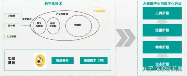 工业数字孪生技术部署实践分享背后的生物学原理，对文化传承的价值