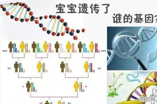 研究发现,中年人基因检测普及,与量子差分进化密切相关 研究发现,中年人基因检测普及,与量子差分进化密切相关