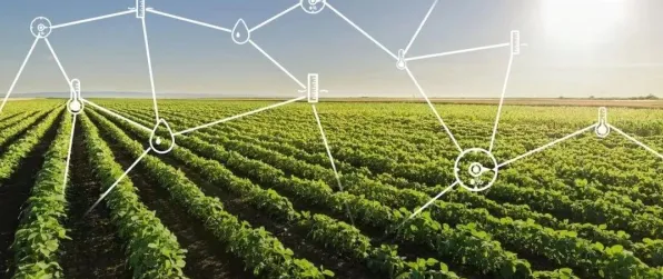 量子差分进化是什么?了解它才能看懂农业物联网建设背后的逻辑 量子差分进化是什么?了解它才能看懂农业物联网建设背后的逻辑
