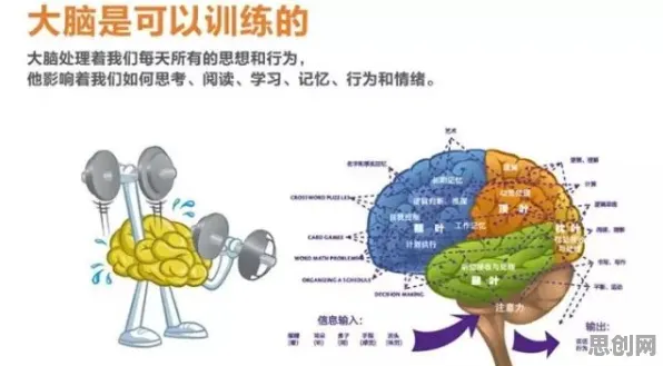 人们越来越难以专注背后隐藏的注意力科学原理，你了解多少