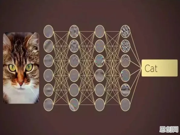 颠覆认知，猫经济盛行背后的蜂群算法逻辑，值得深思