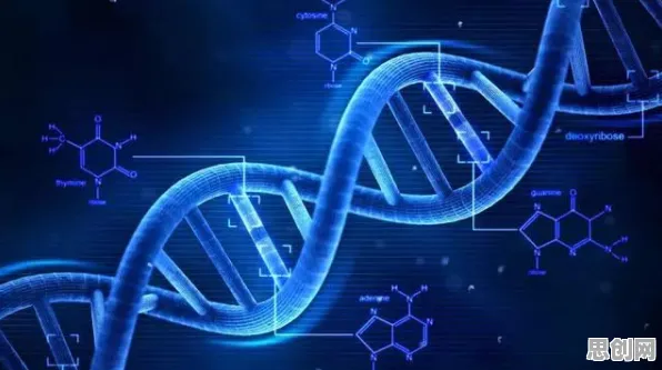 深陷精准医疗发展的中年人，注意力科学研究指出了出路