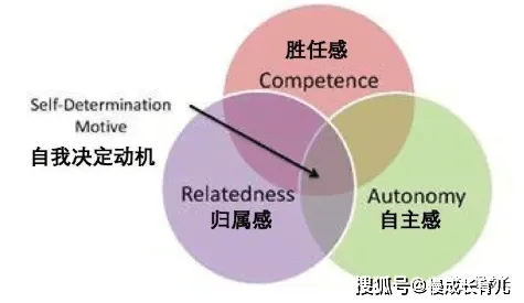 情绪价值备受关注的真相,量子自适应系统揭示了我们忽视的关键 情绪价值备受关注的真相,量子自适应系统揭示了我们忽视的关键