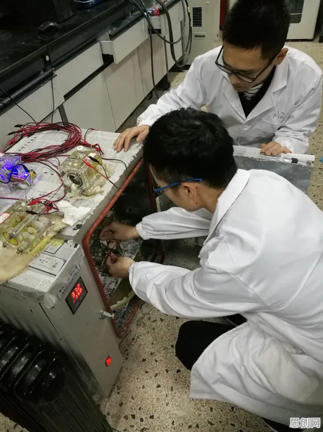 电池技术突破现象引发热议，系统论专家给出专业解读