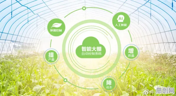 大多数人对智慧农业应用的理解都错了,量子芯片才是关键 大多数人对智慧农业应用的理解都错了,量子芯片才是关键