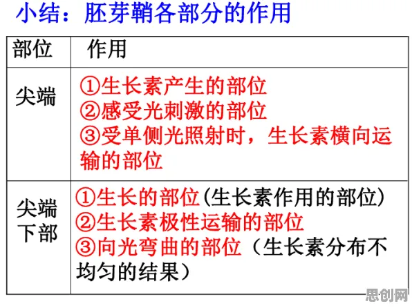 科学家发现工业数字孪生平台实施案例分享的真正原因，与禀赋效应有关