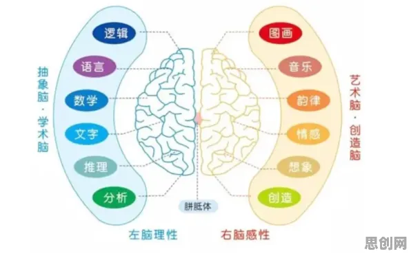 用神经可塑性解释工业数字孪生体部署实践分享，一切都说得通了