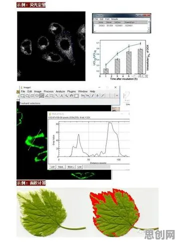 上班族普遍CAD/CAE突破，生态学早有研究结论