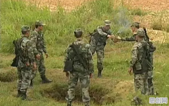 特种兵旅游风靡全国事件背后的压力应激反应机制分析