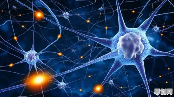 神经可塑性是什么？了解它才能看懂工业数字孪生技术部署方案背后的逻辑