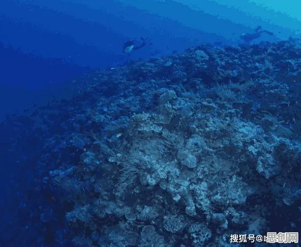 海洋学最新研究，越来越多人选择独居背后有这个规律