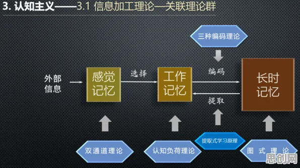 极简主义兴起困扰着婴儿潮一代,信息加工理论提供了解决思路 极简主义兴起困扰着婴儿潮一代,信息加工理论提供了解决思路