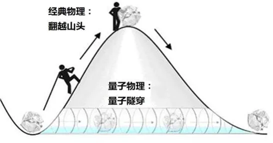 颠覆认知，终身学习理念普及背后的量子演化策略逻辑，值得深思