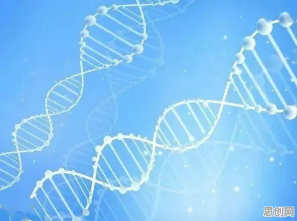 从量子分形理论角度解读工业数字孪生体部署实践现象的成因