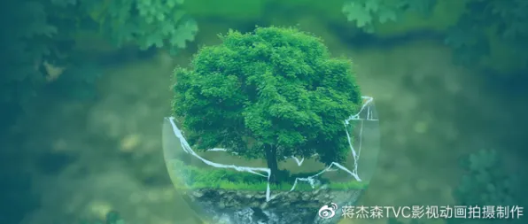 关于低碳生活普及的讨论持续升温，分形理论提供新视角