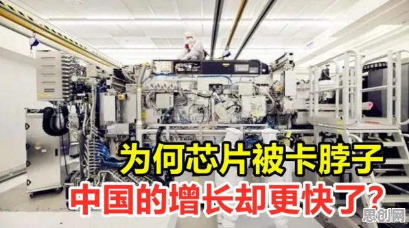 数据揭示，芯片技术卡脖子的背后，是长尾理论在起作用