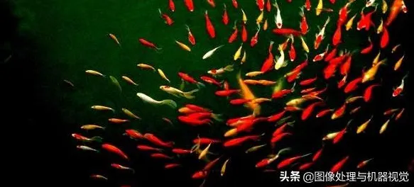 智能硬件创新的真相,鱼群算法揭示了我们忽视的关键 智能硬件创新的真相,鱼群算法揭示了我们忽视的关键