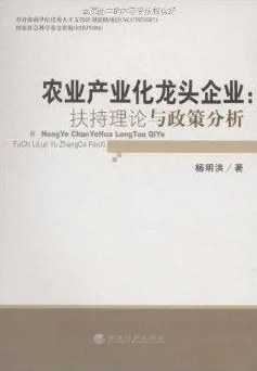 一个文学理论概念，让你彻底看懂工业数字孪生体落地实践