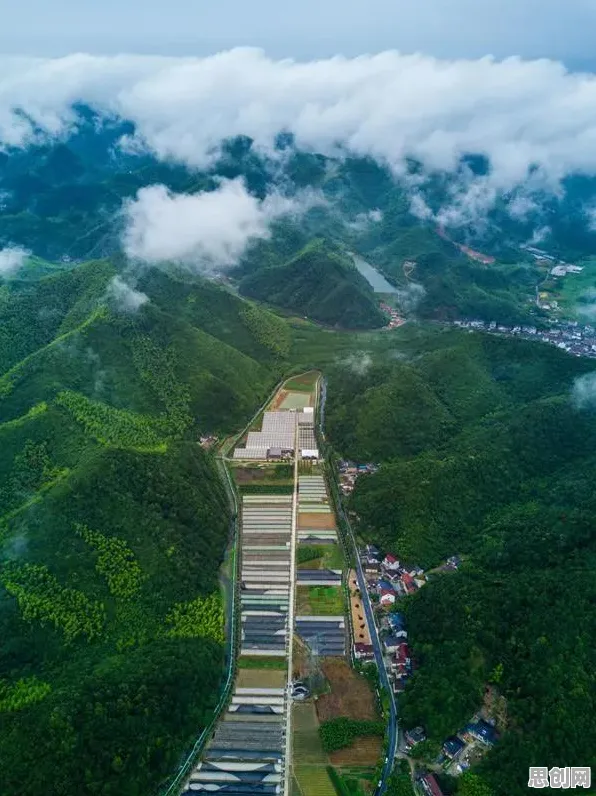 粒子群优化是什么？了解它才能看懂智慧城市建设背后的逻辑