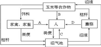 工业微服务架构背后隐藏的环境科学原理，你了解多少