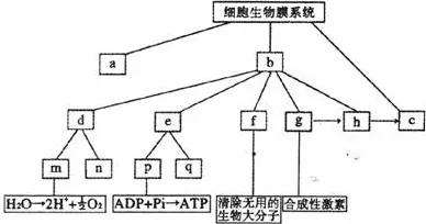 从地理学角度看工业数字孪生体部署方案,真正原因出乎意料 从地理学角度看工业数字孪生体部署方案,真正原因出乎意料
