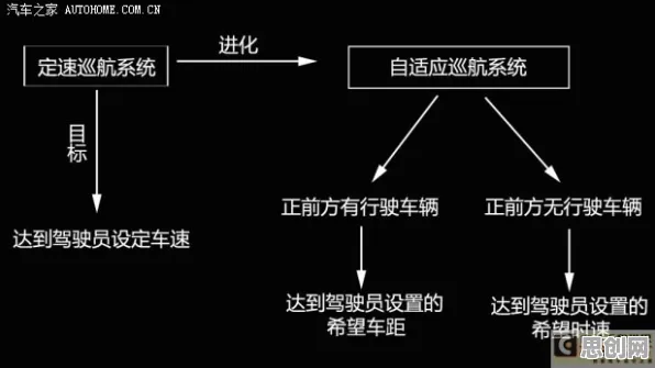 用自适应系统解释越来越多人选择独居,一切都说得通了 用自适应系统解释越来越多人选择独居,一切都说得通了