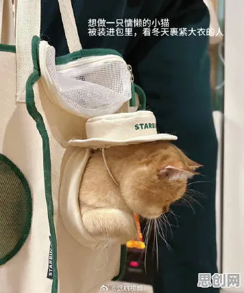 你以为显眼包成为新潮流是坏事?环境科学研究说未必 你以为显眼包成为新潮流是坏事?环境科学研究说未必