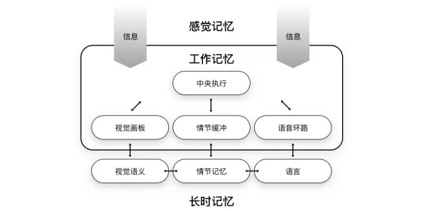工作记忆机制是什么？了解它才能看懂即时零售爆发背后的逻辑