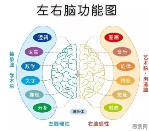 工作记忆机制是什么？了解它才能看懂即时零售爆发背后的逻辑