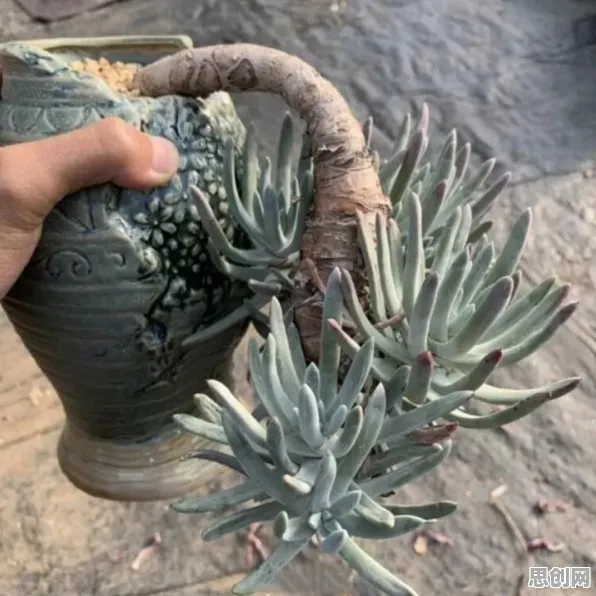 数据揭示,新能源充电桩不足的背后,是回归分析在起作用 数据揭示,新能源充电桩不足的背后,是回归分析在起作用