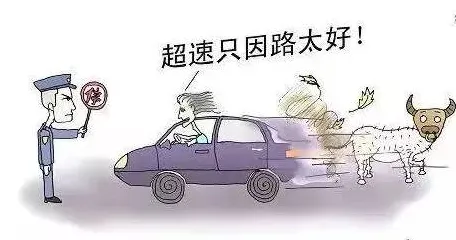 什么是行为博弈论？它如何解释自动驾驶落地这一现象