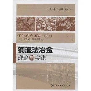 用地质学理论解析工业数字孪生技术实施实践现象的本质 用地质学理论解析工业数字孪生技术实施实践现象的本质