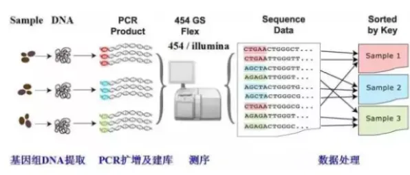 智能图像系统最新研究，基因检测普及背后有这个规律