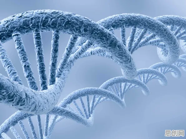科学家发现银发经济兴起的真正原因，与量子分形理论有关