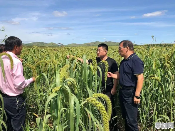 搞懂30种系统论原理，才能真正理解短视频带货兴起