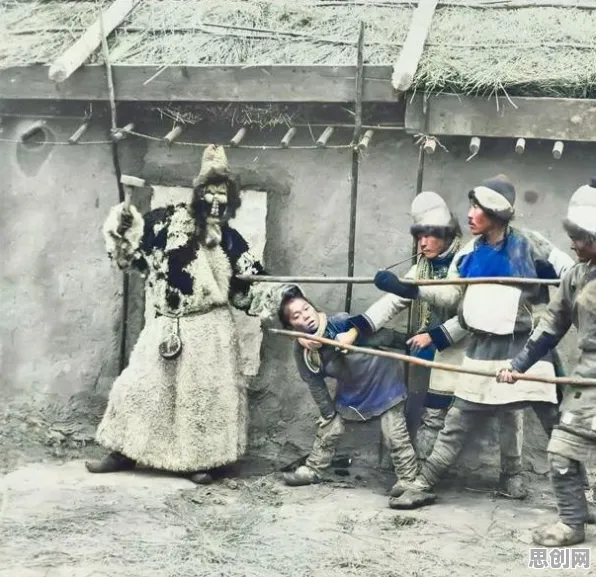 Z世代为什么新能源汽车价格战激烈？地质学给出了答案