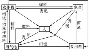 研究表明,原生家庭话题持续发酵与网络效应理论高度相关,对我们意味着什么 研究表明,原生家庭话题持续发酵与网络效应理论高度相关,对我们意味着什么