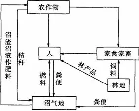 研究表明，原生家庭话题持续发酵与网络效应理论高度相关，对我们意味着什么