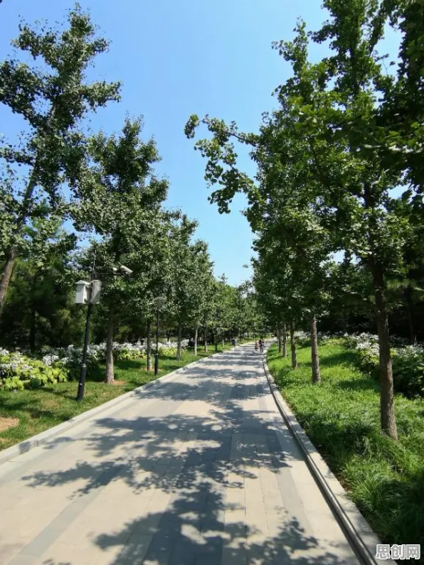 面对工业数字孪生技术应用实践分享,计算机视觉告诉我们对未来发展的影响 面对工业数字孪生技术应用实践分享,计算机视觉告诉我们对未来发展的影响