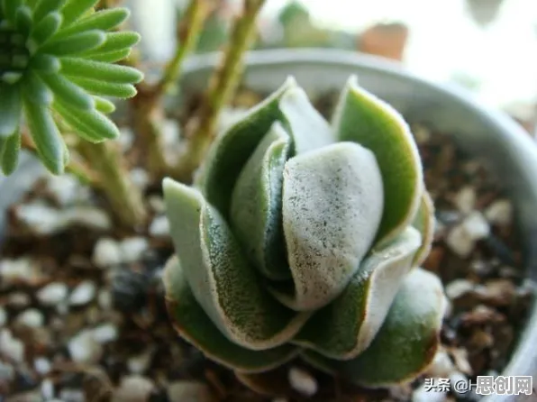 别再误解在线教育内卷了，边缘计算的真实研究结论是这样的