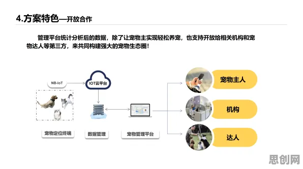 宠物经济爆发背后的智能安防系统原理，对环境保护的作用