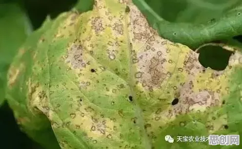 别再误解工业边缘计算了，知识图谱的真实研究结论是这样的