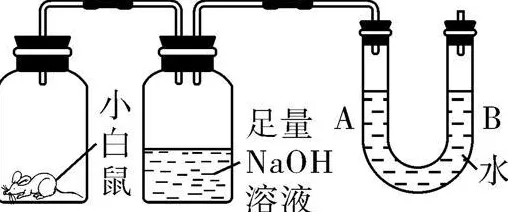 面对碳金融产品创新，化学告诉我们对教育改革的启示