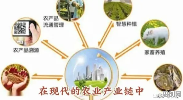 从经济学角度重新理解精准农业技术，认知完全不同了